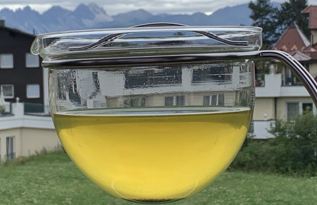 Monokanne vor alpenl&auml;ndischem Hintergrund, &copy; kjj