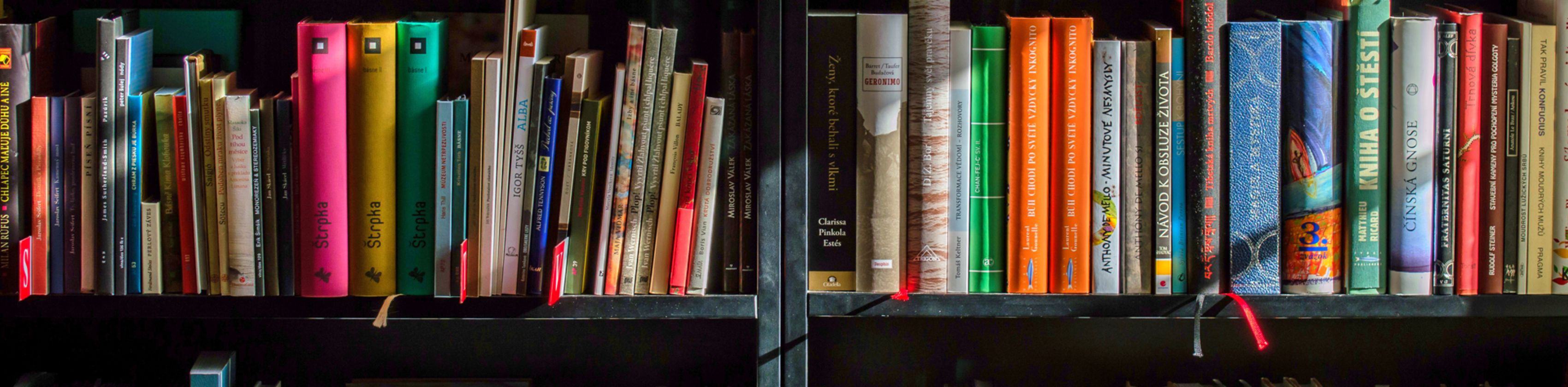 Bücherregal