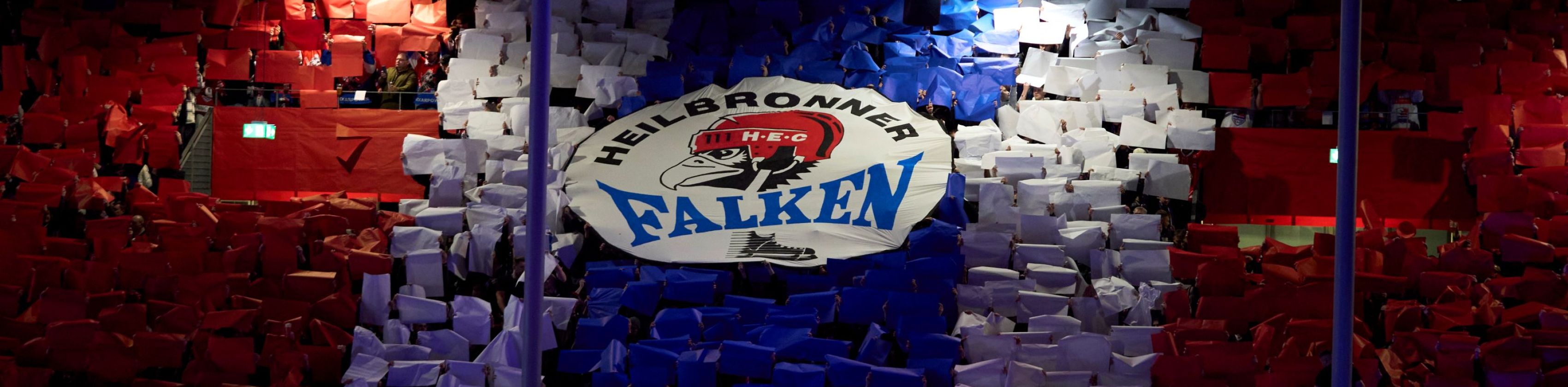 Choreo Falken, &copy; Heilbronner Falken