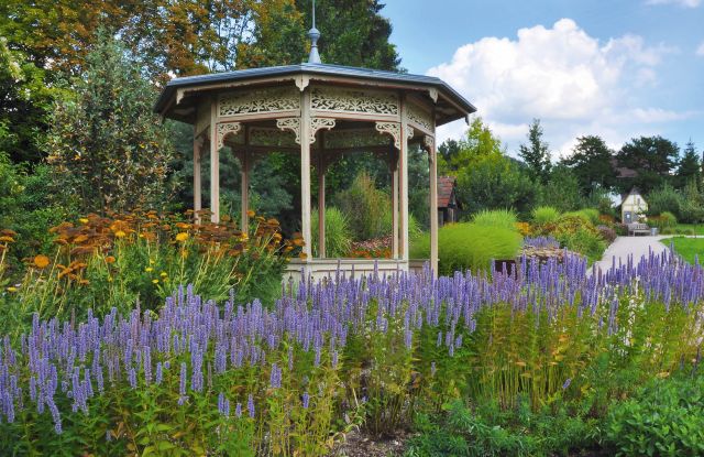 Der Botanische Obstgarten